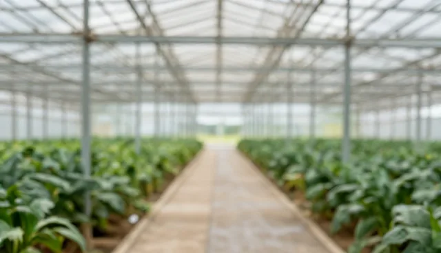 医疗技术推广中的健康管理实践与操作要点